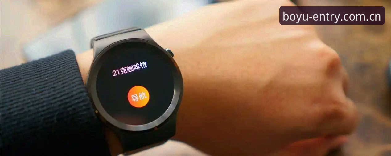 博鱼体育平台2024选择指南：BOYU体育APP哪个好